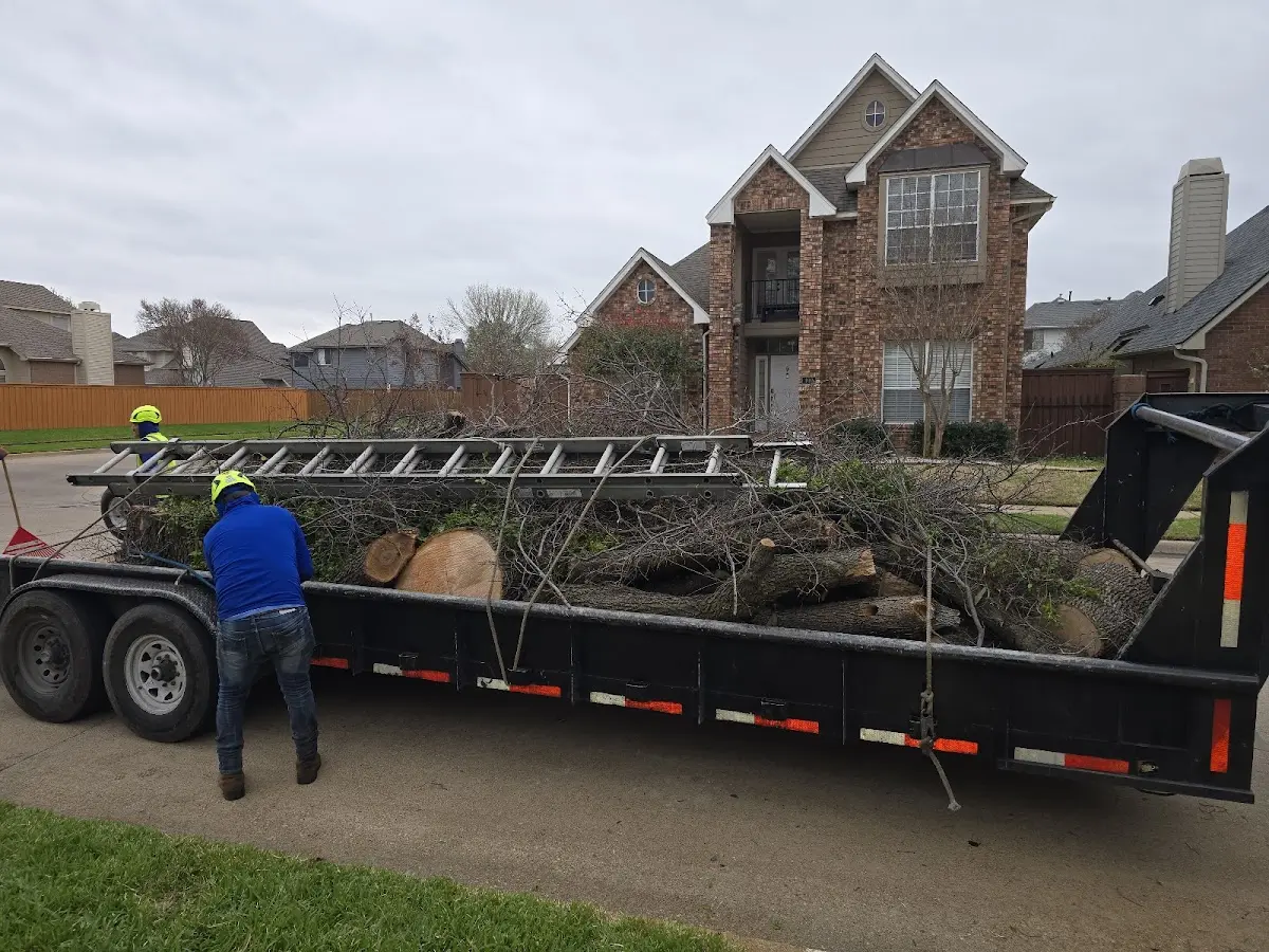 Expert Tree Fertilization with proper safety equipment in Zenda